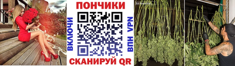 Шишки марихуана Bruce Banner наркота Льгов